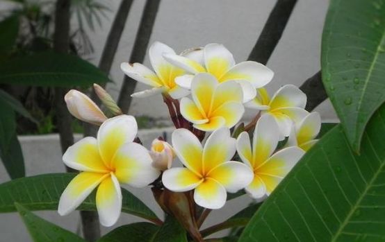 生肖▲越老越漂亮的3种生肖女，喜欢打扮自己，很有吸引力