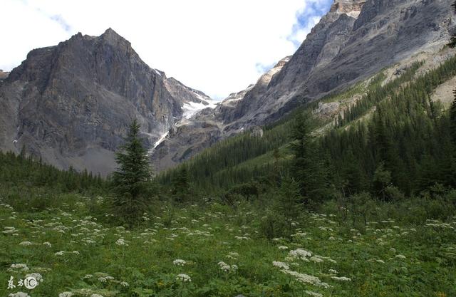 生肖▲4月27号到月底，横财大运天降，惊喜不断来，必大富大贵的3大生肖