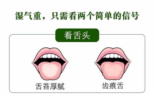 【绿豆】五类水果堪称“湿气王”，你还在吃吗？