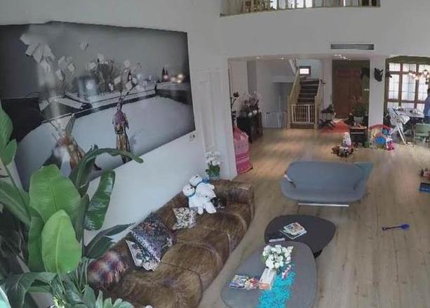 参观霍思燕和杜江的家，卧室大床旁边放一棵树，夫妻俩还真会玩