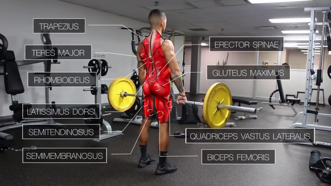 【】想要胸练大,先把背练好