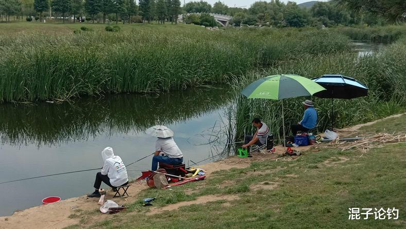 饵料|分享一个野钓打窝的小妙招，窝料使用效率大大提高