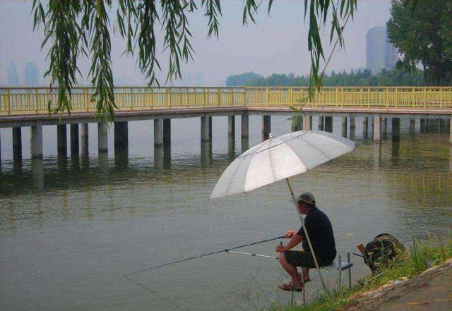 |水浅鱼惊钓不到？改掉这3个坏习惯，再浅的水也能钓