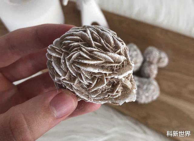 驴友|为什么沙漠中看见“石头”，要立马捡起来？驴友：错过就没机会了