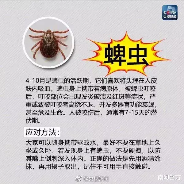 南河警方|太危险！女子景区内被咬，命悬一线！这虫广东很常见，已有多人中招