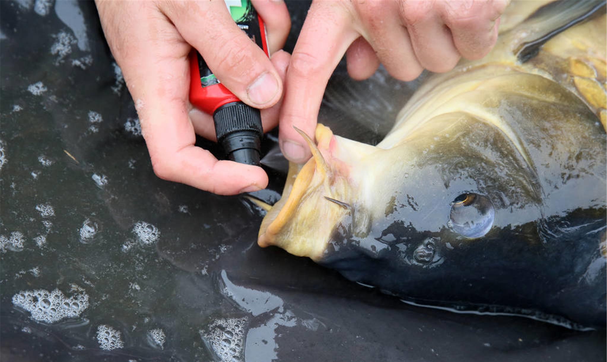 |老话讲：“钓位选不好，等于瞎胡跑”！那么秋末怎么选钓位？