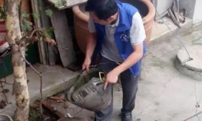 @吃饱了就能繁殖，通常活不过3个月，却是生活中能够置人于死地的动物