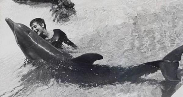 外星人|NASA资助过一项实验：海豚与人，结果颠覆认知，实验完全失控