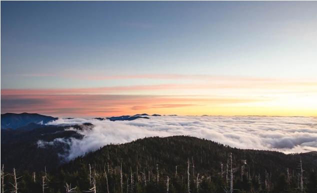 生肖|10月，心软了，心碎了，3生肖无法放下旧情人，余生依旧痴迷