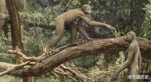 老虎|人类真的没有天敌？有一种动物差点吃光人类祖先，至今有人仍害怕