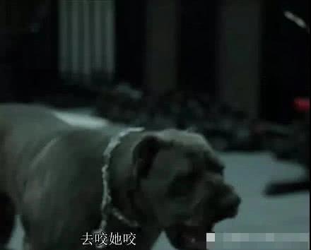 「赵泰」《大人物》赵泰的各种猖狂,那都不算什么,当看到韩版后,才知道什么叫狠