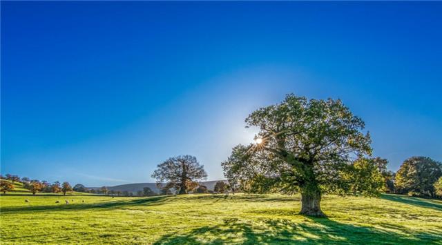 「白羊座」不擅长编瞎话的3星座，做错事之后，总要勇敢地承担责任