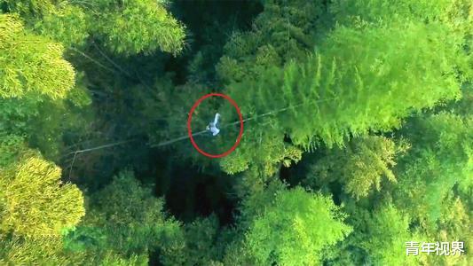 ：中国最后一位“竹海飞人”，73岁仍在竹海飞跃，独门绝技即将失传