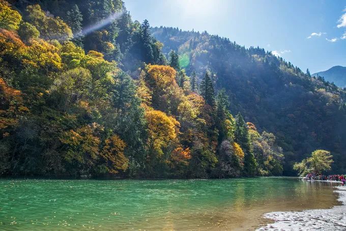 川西|川西，整个秋季最美的地方！思鹿旅行推荐