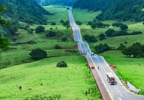 「武隆」一次可以游览3个5A景区的旅游区，因为实在太美，门票再贵也要来
