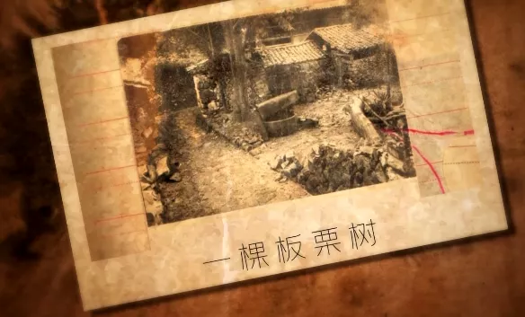 浙样的生活|深夜开棺验尸，就是他！浙江男子死后11年还是没逃过警方追捕