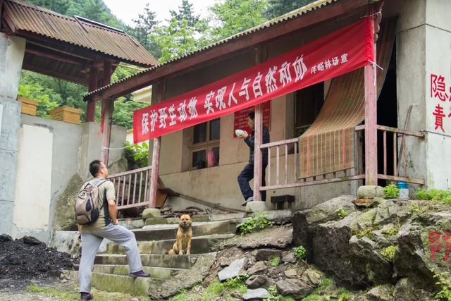 秦岭：秦岭沣峪大坝沟：是个好地方，有森林有高山瀑布，而且游客还不多