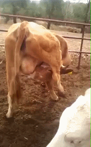 便利店|带女朋友出来钓鱼,但我根本不能集中精神,哈哈哈哈哈