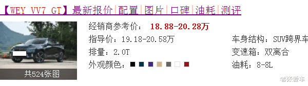 『宝马X6』年轻人的第一辆轿跑,带V8声浪,顶配才20万,买不起宝马X6就买它