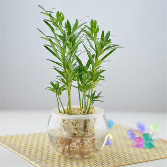 察觉这些身体异常，赶紧警惕起来，这是甲醛中毒的征兆！