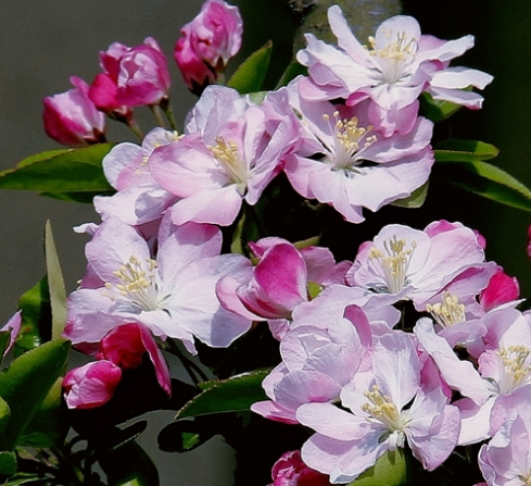 |中秋节喜事连连，4属相意气风发，大喜大福降临，生意红红火火