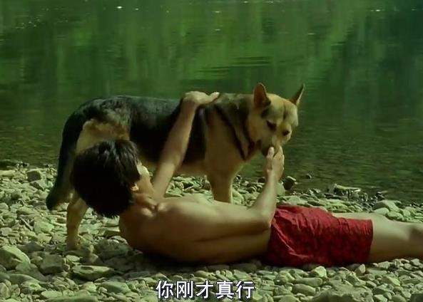 霍建起@国内票房为零的文艺片,被日本以8万美元引进,结果卖了8亿日元