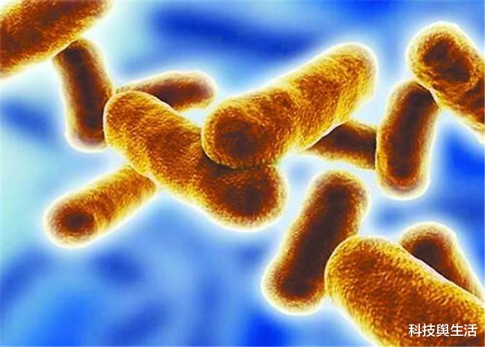 【科学家】传说中的长生不老，真的能实现？疯狂科学家为自己注射细菌！