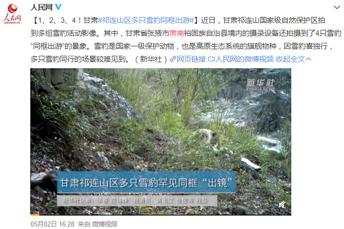 「甘肃」肃南!才是隐藏的人间天堂!