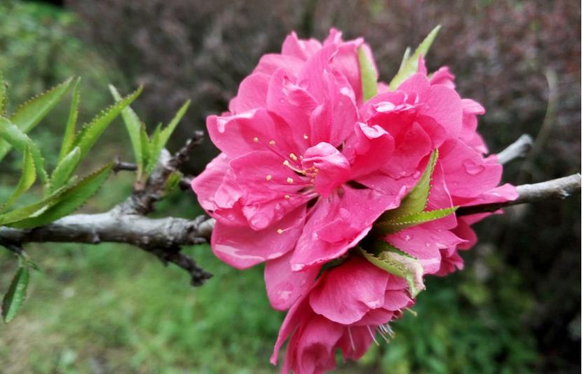 「生肖」财神庇佑,横财入命,6月上旬买彩票有望中大奖的3生肖