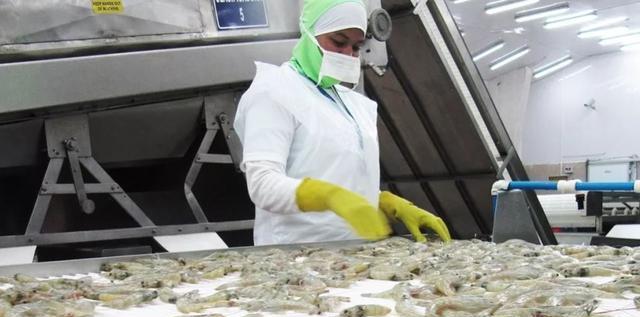 人民币|中国宣布：将对厄瓜多尔冻虾进行检测，厄方：出口后概不负责