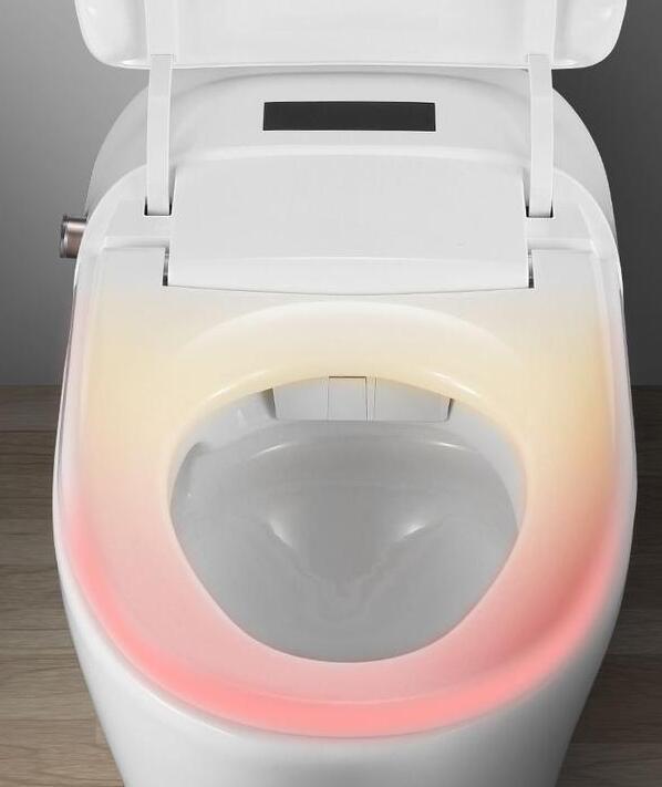 「」当初脑袋进水选择地排马桶，入住三个月就后悔，被家人骂愚蠢