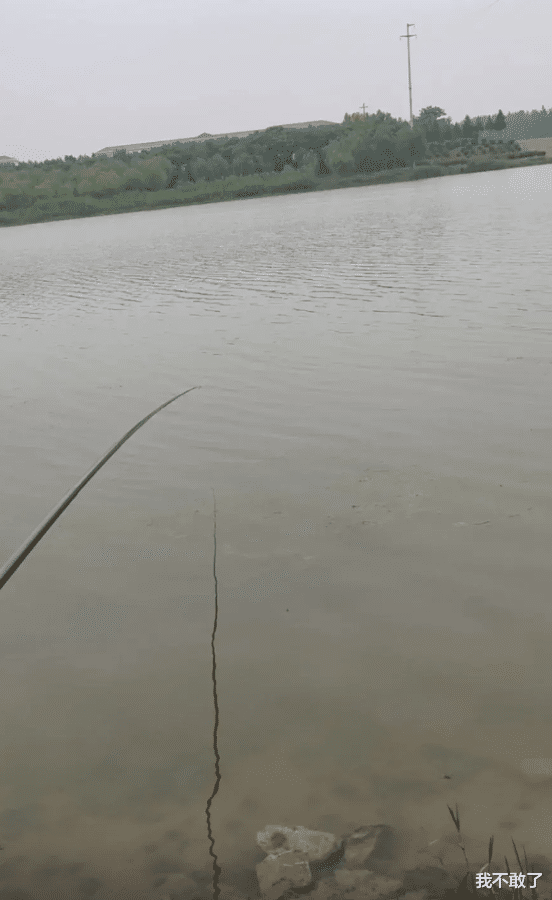 |“下过雨后去钓鱼,收获不错…”有纹身的大黄鳝?