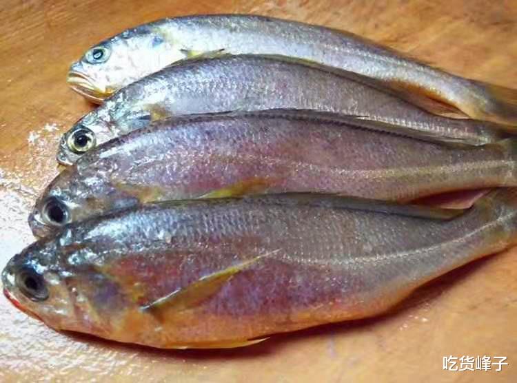 刀鱼|夏天最肥的鱼，我在菜市场碰到从不还价，20元一斤，包饺子贼香