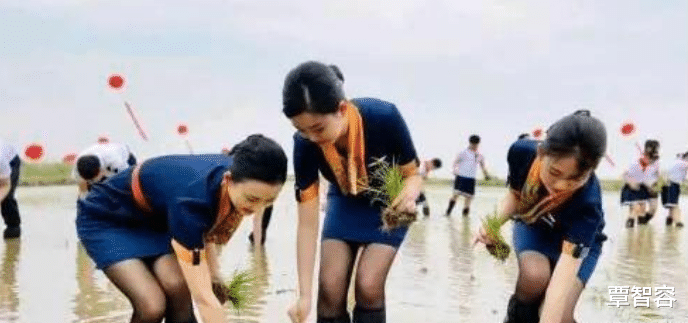 袜子|“游戏好友发展到这样是不是有点太快了”,这袜子是不是破了