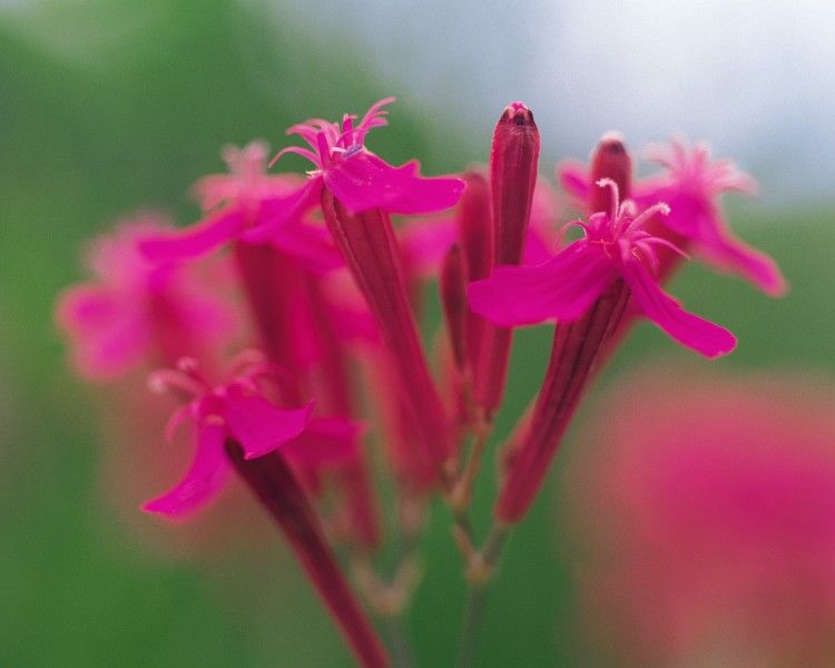 霉运|7天之后，人生幸福无忧，好运霉运不近身，财源机遇赶不走的生肖