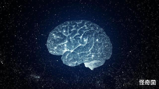 白矮星|宇宙是某个生命体的大脑？科学家：可能是真的，但它还未发育