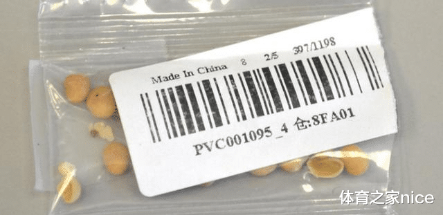 美国|中美联合调查“来自中国的神秘种子”，有人已经种出了番茄和瓜？