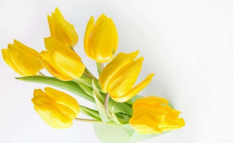 双子座：特大好消息！横财难挡，富贵滚滚来的3属相