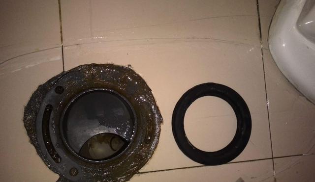 「」卫生间马桶一旦没装这玩意，赶紧让工人返工，难怪越住越臭