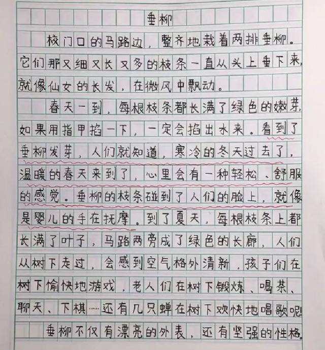 「作文」小学老师晒小学生优秀作文，不仅思路清晰而且书写堪比“印刷体”