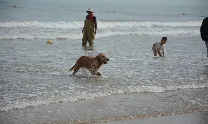 「甘南」是时候去青岛啦!