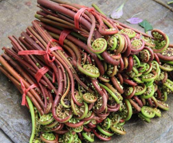 豆芽|被美国拉入“黑名单”的4种菜，中国人却很喜欢，网友：我天天吃