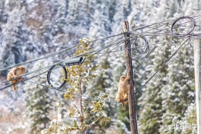 「色达」疫情后的旅行，川西自驾全攻略，看墨石奇观、震撼贡嘎、天堂色达