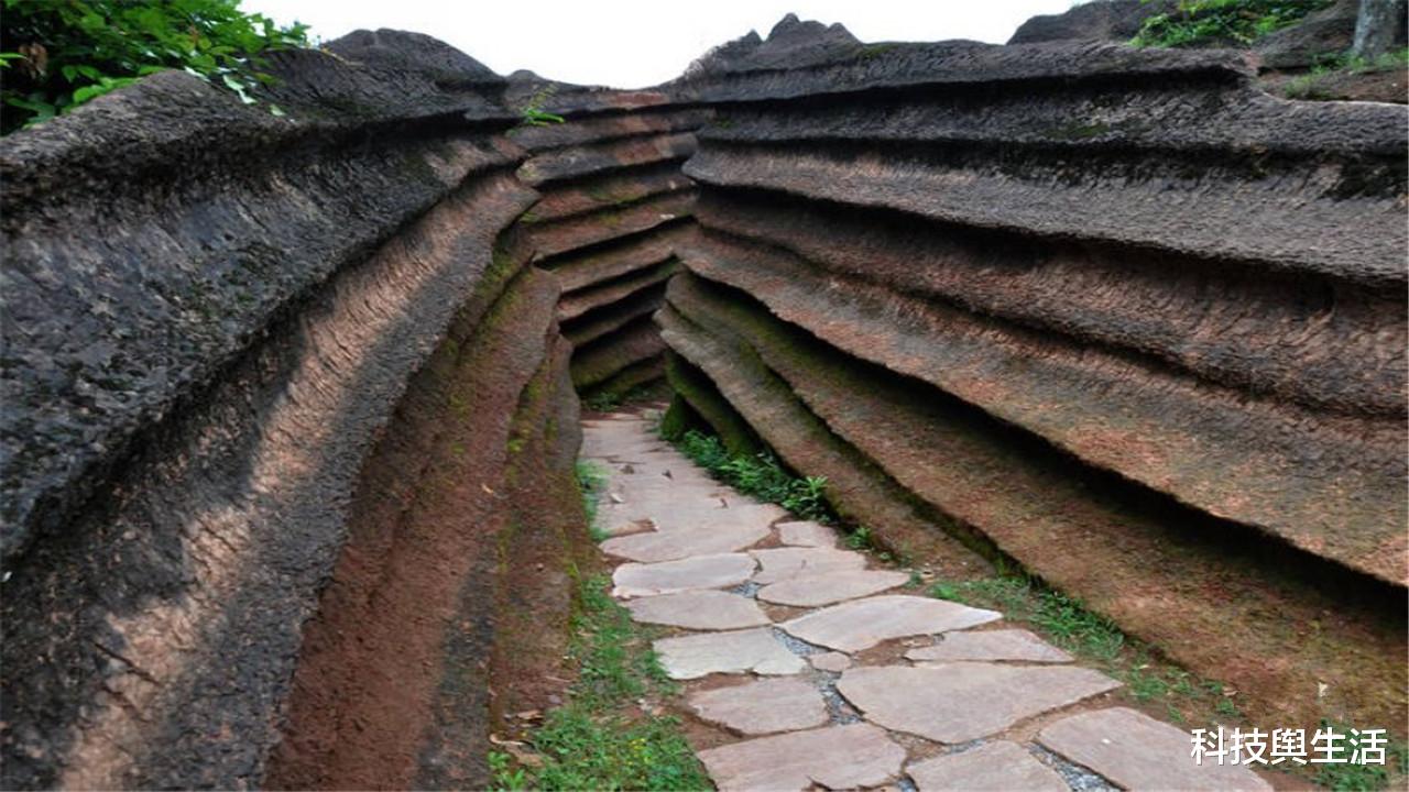 暴雨|地球已成“大蒸笼”，科学家不淡定了，2亿年前的景象或重现！