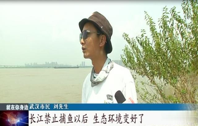 洪峰|长江武汉段，江豚成群出现