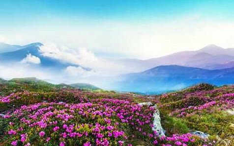 运势|9月份开始，4属相六六大顺，八方来财，财源滚滚一路发，好运不断