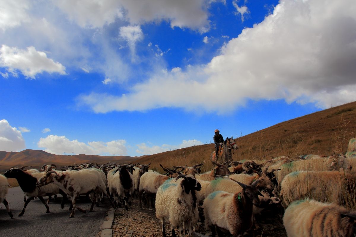 「新疆维吾尔自治区」新疆“最小的”县，因修公路被意外发现，曾与世隔绝百年