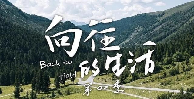 [张子枫]《向往4》还没开播，导演迫不及待官宣一位嘉宾，网友顿时激动了