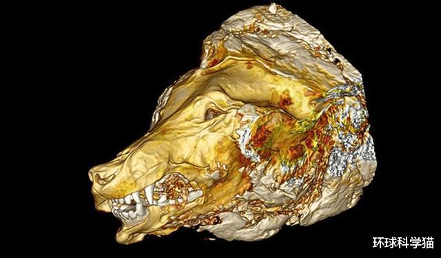 #北极#北极现40000年远古生物,已确定种类,人类最担心的问题在发生?