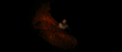 霍莉|吊打93%的恐怖片，它为什么这么牛？